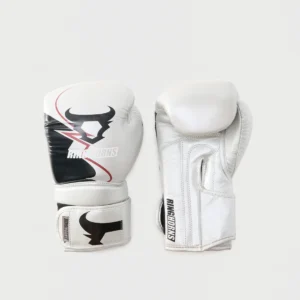 gants de boxe silver coloured/black